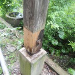 DSCN6657